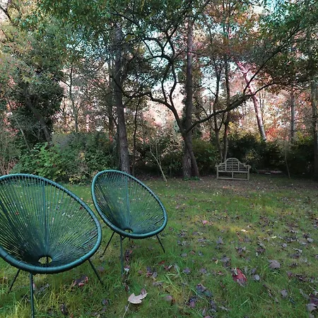 Tranquil In The Middle Of Nature Holiday home *