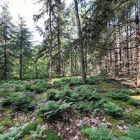 Tranquil In The Middle Of Nature