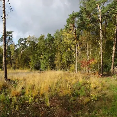 Tranquil In The Middle Of Nature * Zelhem