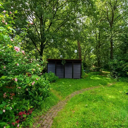 Tranquil In The Middle Of Nature
