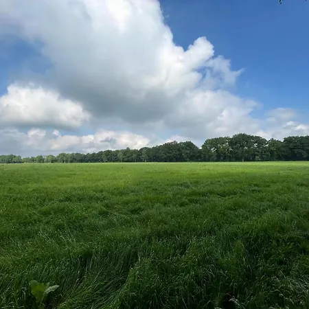 Holiday home Tranquil In The Middle Of Nature Zelhem