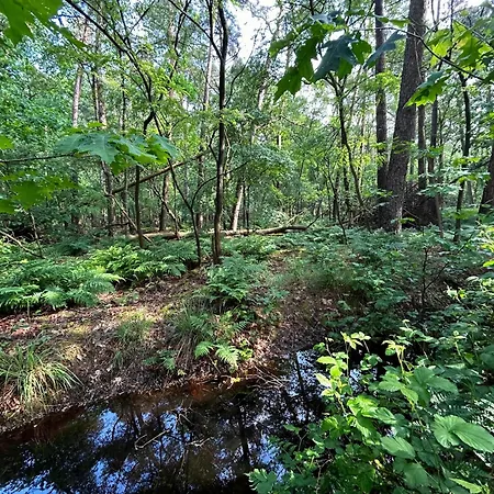 Tranquil In The Middle Of Nature