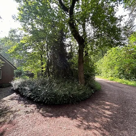 Holiday home Tranquil In The Middle Of Nature Zelhem