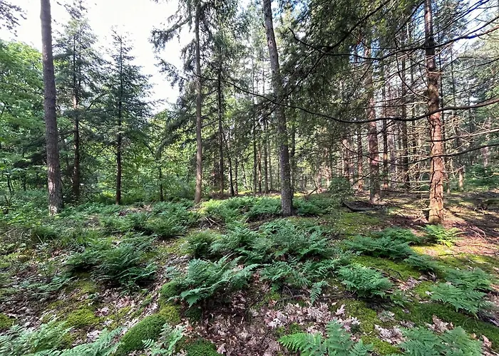 Tranquil In The Middle Of Nature Zelhem